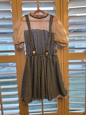Dorothy Costume (Children’s Large)
